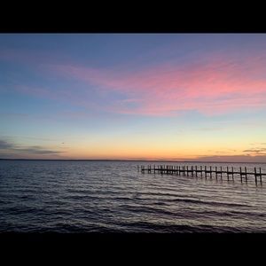 Meet your Posher, Ava